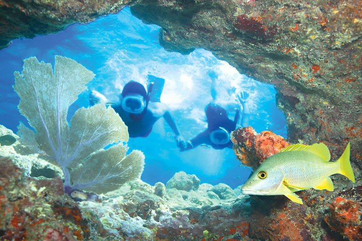 Key West Double-Dip Snorkel Tour-Two Stops, Twice the Fun! - Photo 1 of 13